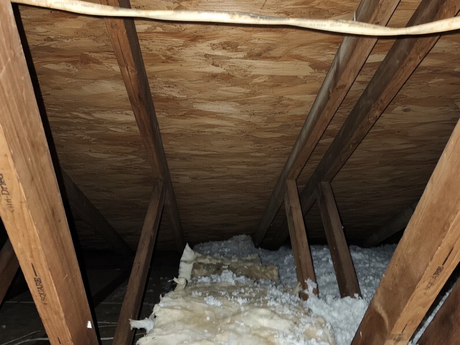 Attic after mold remediation